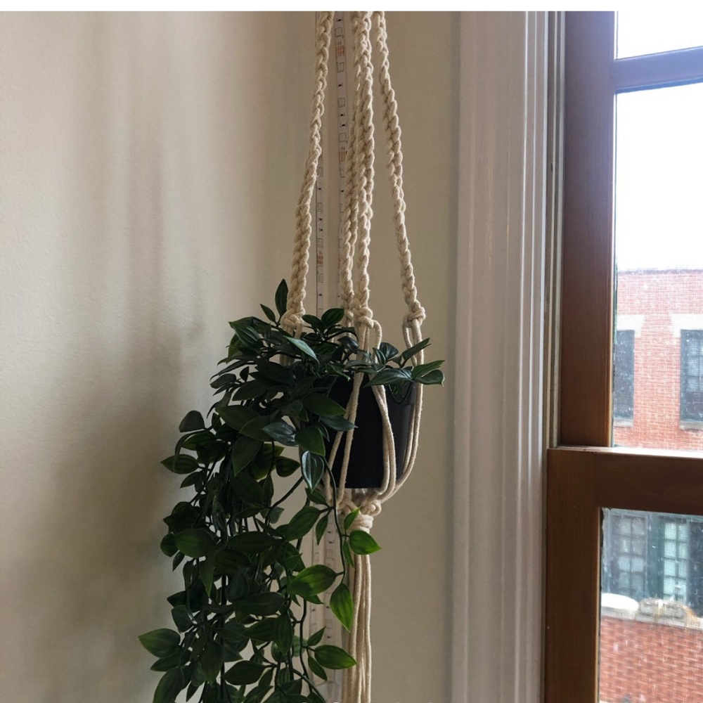 Macramé plant wall hanger